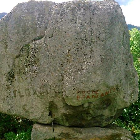 Lilas, Gite Saint Antoine, Orcival, Entre Sancy Et Volcans. Esterno foto