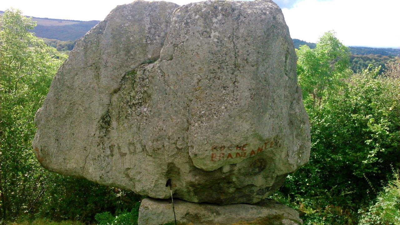 Lilas, Gite Saint Antoine, Orcival, Entre Sancy Et Volcans. Esterno foto